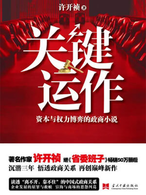 关键运作,许开祯,小说