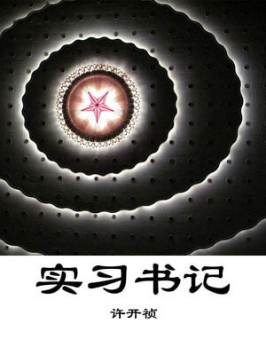 实习书记,许开祯,小说