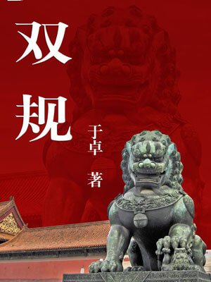 双规,双规by于卓