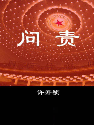 问责,问责by许开祯