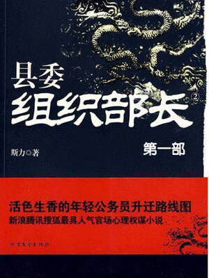 县委组织部长(全二卷),县委组织部长(全二卷)by斯力