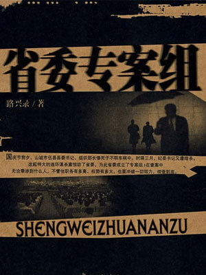 省委专案组,省委专案组by路兴录