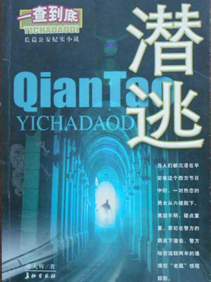 潜逃,潜逃by徐大辉