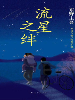 流星之绊,流星之绊by东野圭吾