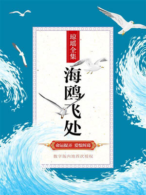 海鸥飞处,琼瑶,小说