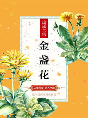 金盏花,琼瑶,小说