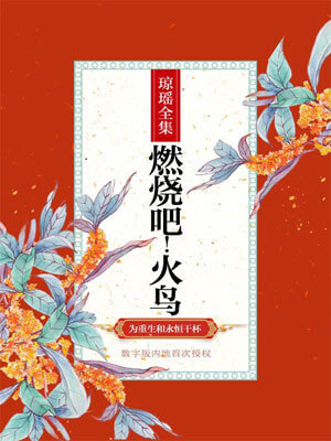 燃烧吧！火鸟,琼瑶,小说