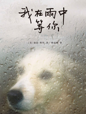 我在雨中等你,我在雨中等你by加思·斯坦