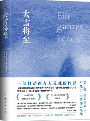 大雪将至,大雪将至by罗伯特·泽塔勒