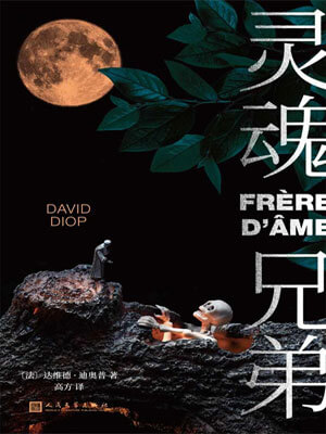灵魂兄弟,灵魂兄弟by达维德·迪奥普