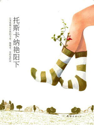 托斯卡纳艳阳下,托斯卡纳艳阳下by弗朗西丝·梅斯