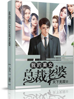 我的美女总裁老婆,我的美女总裁老婆by天下无双