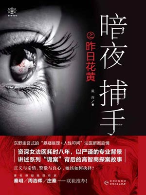 暗夜捕手,暗夜捕手by戴西