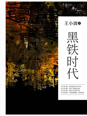 黑铁时代,黑铁时代by王小波
