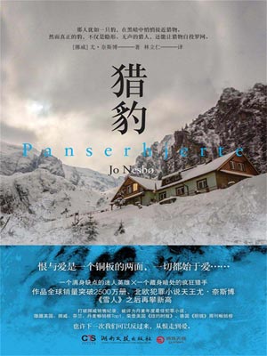猎豹,猎豹by尤·奈斯博