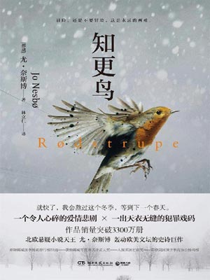 知更鸟,知更鸟by尤·奈斯博