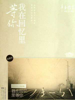 我在回忆里等你,我在回忆里等你by辛夷坞