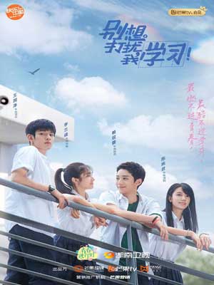 别想打扰我学习,别想打扰我学习by月流光