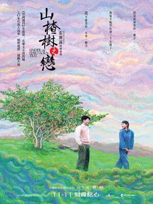 山楂树之恋,山楂树之恋by艾米