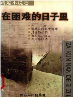 在困难的日子里,在困难的日子里by路遥