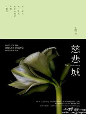 慈悲城,慈悲城by丁墨
