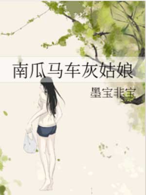 南瓜马车灰姑娘,墨宝非宝,小说