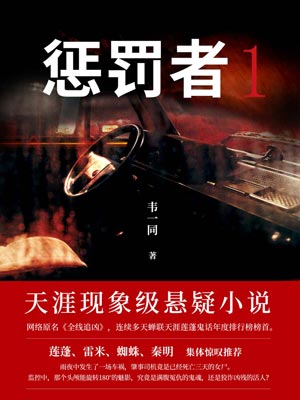 惩罚者,惩罚者by韦一同