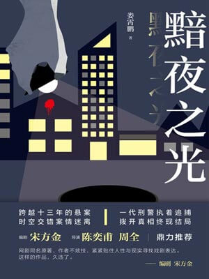 黯夜之光(尘封十三载),黯夜之光(尘封十三载)by娄霄鹏