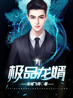 极品龙婿,极品龙婿by龙城飞将