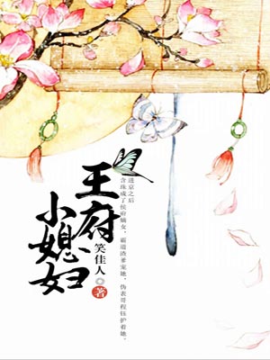 王府小媳妇,王府小媳妇by笑佳人