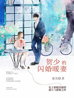 贺少的闪婚暖妻,贺少的闪婚暖妻by秦页