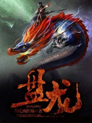 盘龙,我吃西红柿,小说