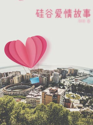 硅谷爱情故事,硅谷爱情故事by刘玥