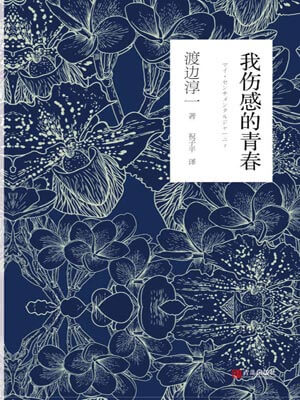 我伤感的青春,渡边淳一,小说