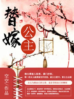 替嫁公主（替嫁医女）,替嫁公主（替嫁医女）by梦魇
