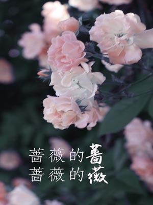 蔷薇的蔷，蔷薇的薇,蔷薇的蔷，蔷薇的薇by飞来