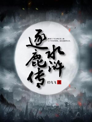 水浒逐鹿传,水浒逐鹿传by任鸟飞