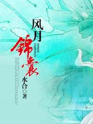 锦囊妙录,锦囊妙录by水合