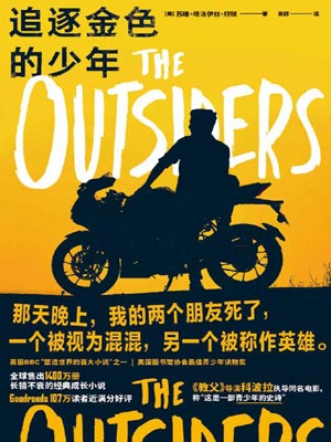 追逐金色的少年,追逐金色的少年by苏珊·埃洛伊丝·欣顿