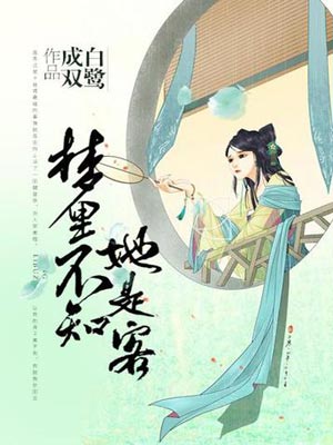 梦里不知她是客,白鹭成双,小说